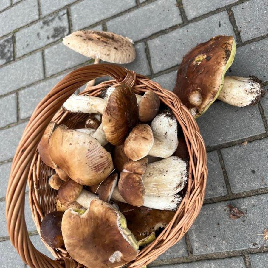 Domek Nad Jeziorem Myślibórz المظهر الخارجي الصورة